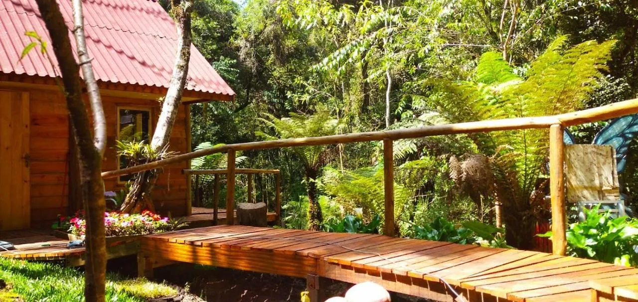 Chale Samambaia Vila Campos do Jordão Brasil